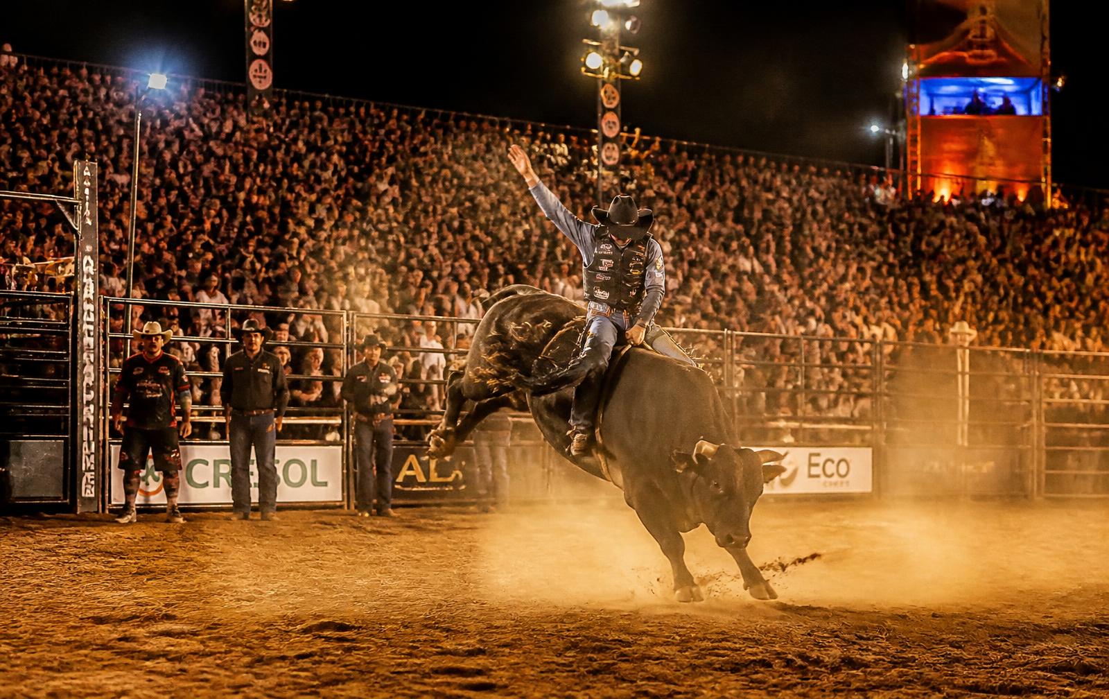 Rodeios e Festas de Peão